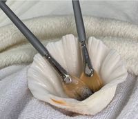 Kosmetische Wirkstoffe und Pinsel vorbereitet für eine professionelle Gesichtsbehandlung