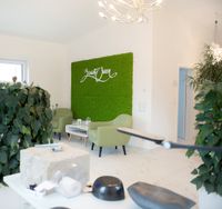 Modernes Kosmetikstudio mit stilvollem Empfangsbereich und eleganter Einrichtung bei BQ Medical Beauty in Großenseebach